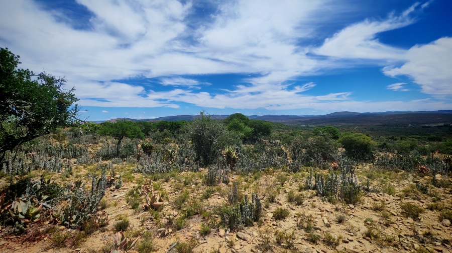 6 Bedroom Property for Sale in Pearston Eastern Cape